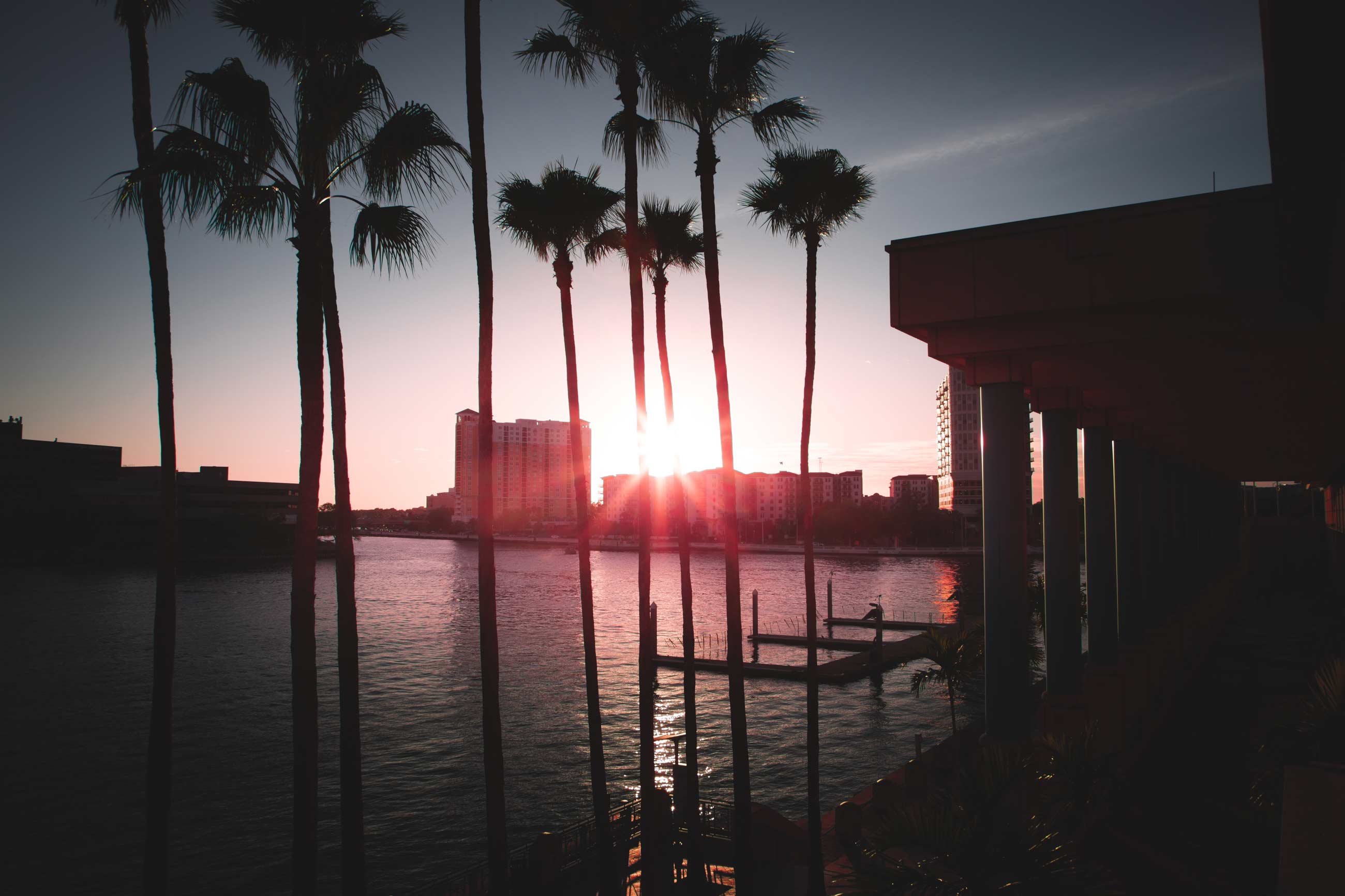 Tampa Bay sunset with palms and downtown skyline